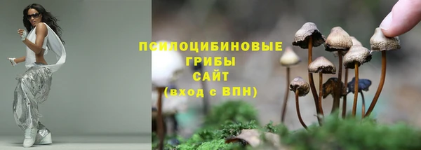 амф Абинск