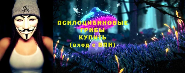 амф Абинск